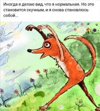 48911.webp