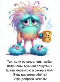 1000037092.webp 1000037092.webp