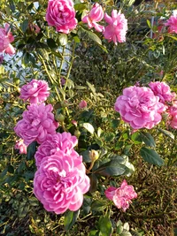 1759071094261.webp