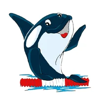 касатка.webp