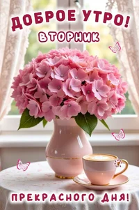 IMG_7502.webp