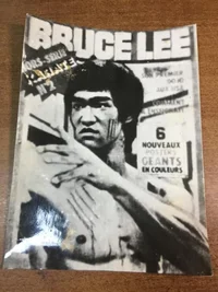 foto_brjus_li_23_17_sm_bruce_lee_kooperativnoe_foto_brjus_li_brjus_li_fotografija_brjus_li_ka...webp