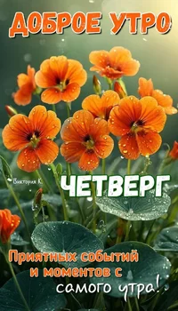 IMG_7514.webp
