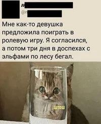 48273.webp