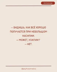49402.webp