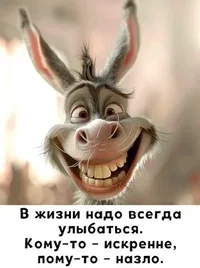 улыб.webp