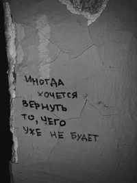 49429.webp