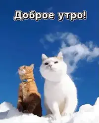 1000037164.webp