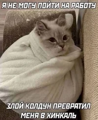 RQy35DLoFgIRRNNdVnq3Xc_rOHjs6BjNTZjdEQ2SNRUxLNlpYfZ20oQCLb4DnHuvajrOUccm4sLZqYrizEq62igD.webp