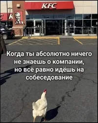 QUaSDkdPLcsM0kz4k5hbfS6MUS7XSVhRwMCfug_CMZYVXiWM3_4iRqFzNlieNR7PismoqfYyuHie0ag83dByReZe.webp