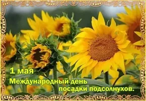 IMG_8313.webp