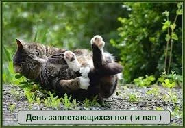 IMG_8311.webp
