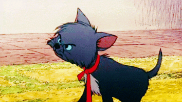 Aes8.gif