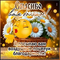 IMG_8330.webp IMG_8330.webp