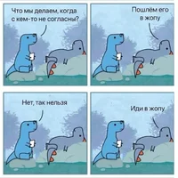 49092.webp