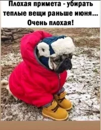 Screenshot_2026-05-01-16-55-51-023_com.vkontakte.android.webp