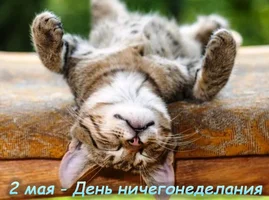 IMG_8345.webp