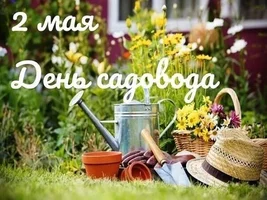 IMG_8347.webp
