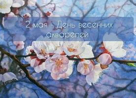 IMG_8348.webp