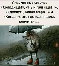 сезоны.webp