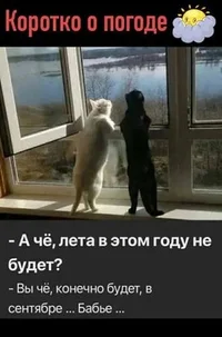 лето будет.webp