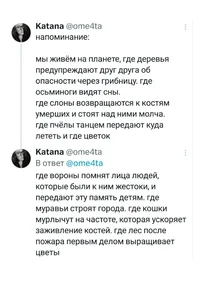 49725.webp 49725.webp