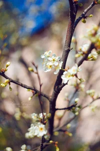 IMG_1667-Edit.webp
