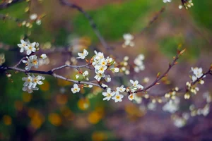 IMG_1657-Edit.webp
