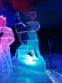 IMG_20250105_135921.webp