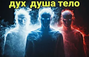 010.webp