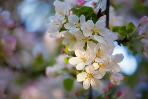 IMG_6139-Edit.webp