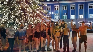 моржи.webp
