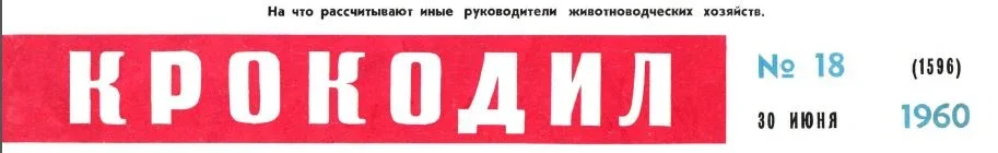 4.webp