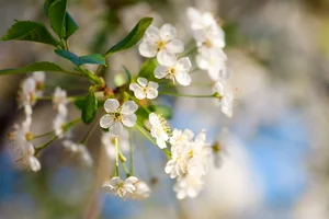 IMG_1179-Edit.webp IMG_1179-Edit.webp