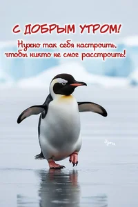 IMG_7526.webp