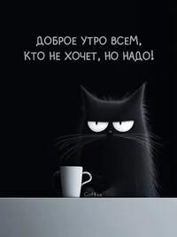 49973.webp