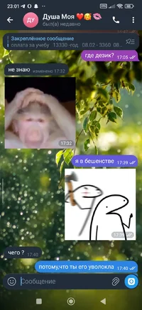 Screenshot_2026-05-07-23-01-17-711_org.telegram.messenger.webp