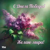 photo-f-y-in-article-otkrytki-s-dnem-pobedy-1024x1024-25-07.webp