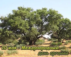 IMG_8484.webp