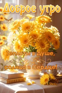 IMG_8474.webp