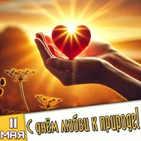 IMG_8500.webp