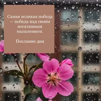 нег.webp