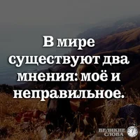 котттттт.webp