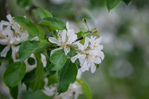 IMG_1717.webp IMG_1717.webp