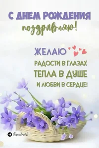 50521.webp