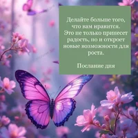 нрав.webp