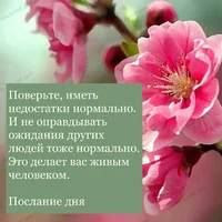 недос.webp недос.webp