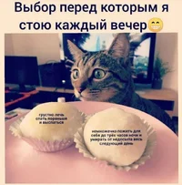 50561.webp 50561.webp