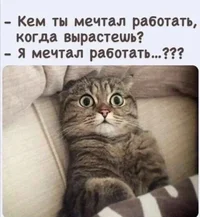 50569.webp