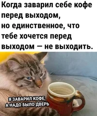 50653.webp 50653.webp